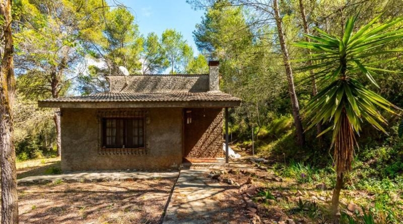 Castellón - Castellón de la Plana - 10000m2