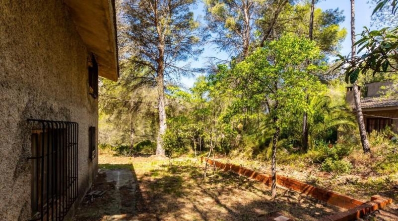 Castellón - Castellón de la Plana - 10000m2