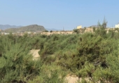 Casa de campo con terreno en venta en la España, Mazarrón, ref: TR248375 foto