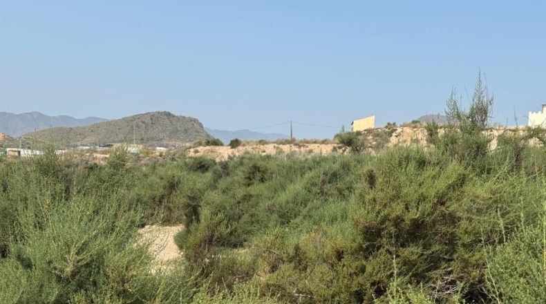 Murcia - Mazarrón - 10000m2