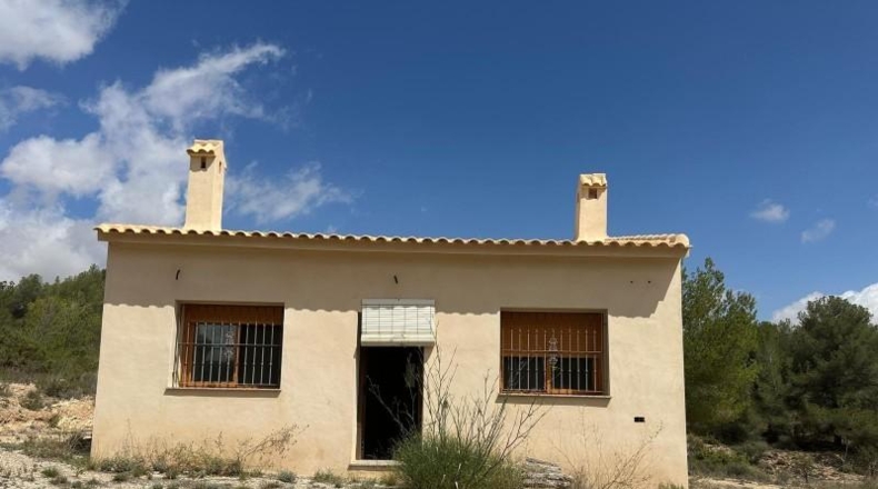 Alicante - Monóvar - 10600m2