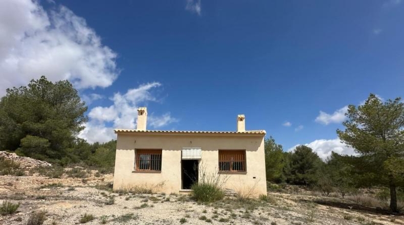 Alicante - Monóvar - 10600m2
