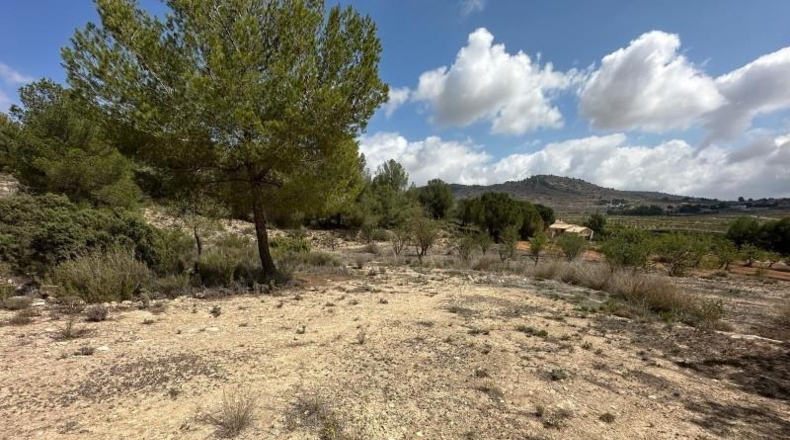 Alicante - Monóvar - 10600m2