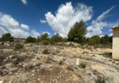 Casa de camp amb terreny en venda a la España, Monòver, ref.: TR166015 foto