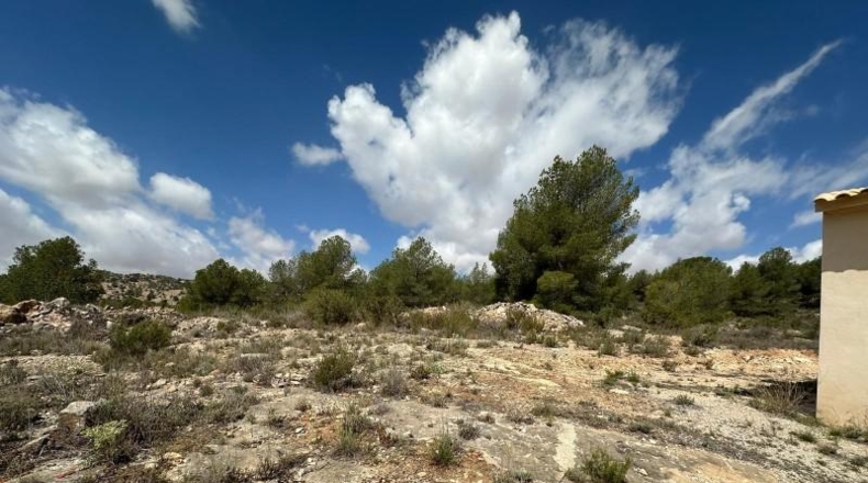 Alicante - Monóvar - 10600m2