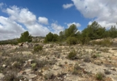Casa de camp amb terreny en venda a la España, Monòver, ref.: TR166015 foto