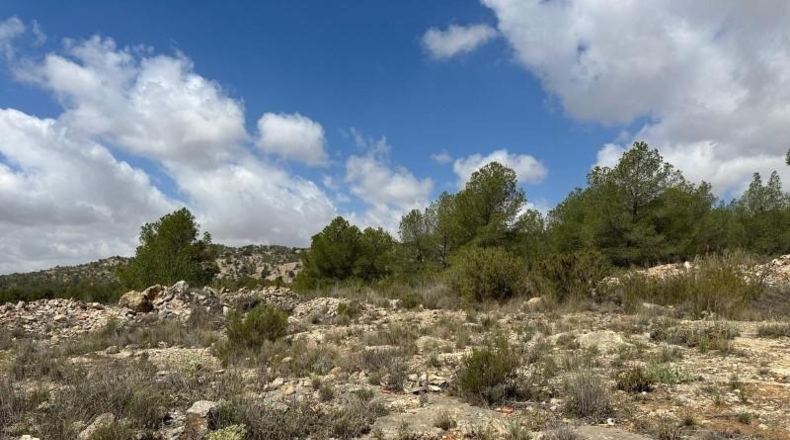 Alicante - Monóvar - 10600m2