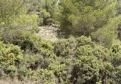 Casa de camp amb terreny en venda a la España, Monòver, ref.: TR166015 foto