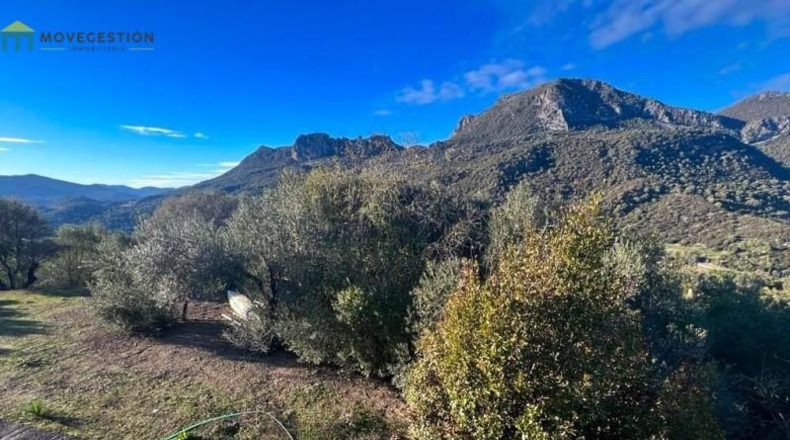 Cádiz - Ubrique - 4000m2
