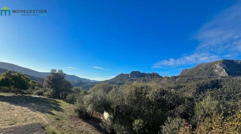 Cádiz - Ubrique - 4000m2