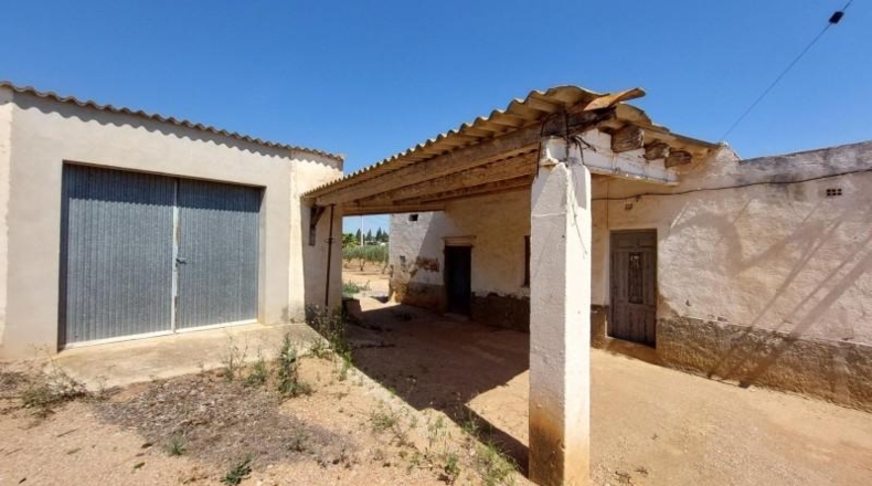 Tarragona - Amposta - 6943m2