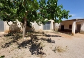 Chalet independiente con terreno en venta en la España, Amposta, ref: TR174855 foto