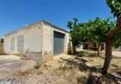 Chalet independiente con terreno en venta en la España, Amposta, ref: TR174855 foto