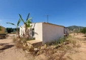 Chalet independiente con terreno en venta en la España, Amposta, ref: TR174855 foto