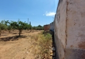 Chalet independiente con terreno en venta en la España, Amposta, ref: TR174855 foto