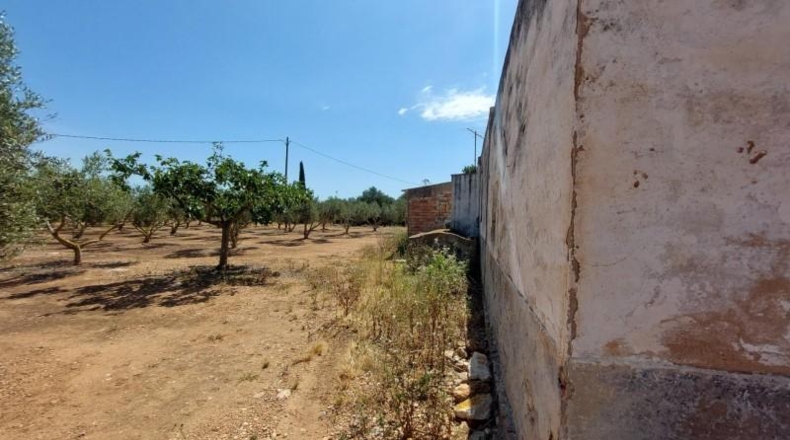 Tarragona - Amposta - 6943m2