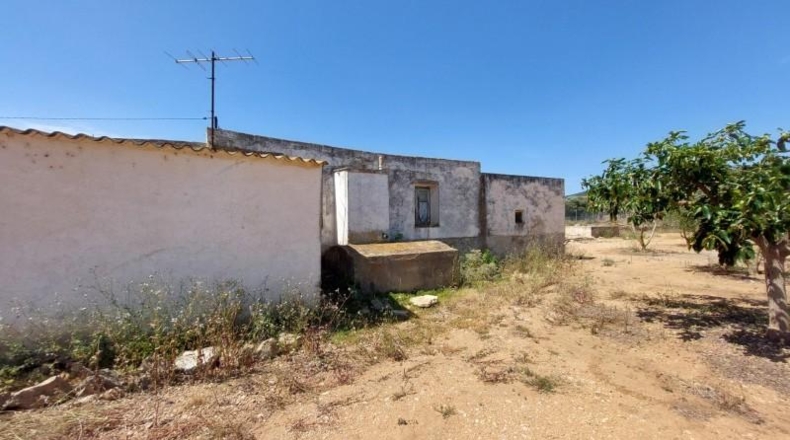 Tarragona - Amposta - 6943m2