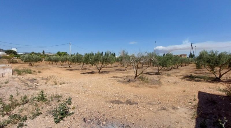 Tarragona - Amposta - 6943m2