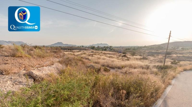 Alicante - Bañeres - 10000m2