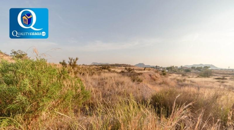 Alicante - Bañeres - 10000m2