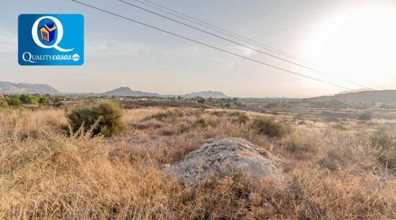 Alicante - Bañeres - 10000m2