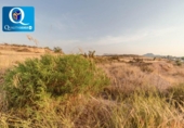 Parcel·la urbanitzable en venda a la España, Alacant, ref.: TR344403 foto