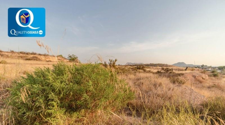 Alicante - Bañeres - 10000m2
