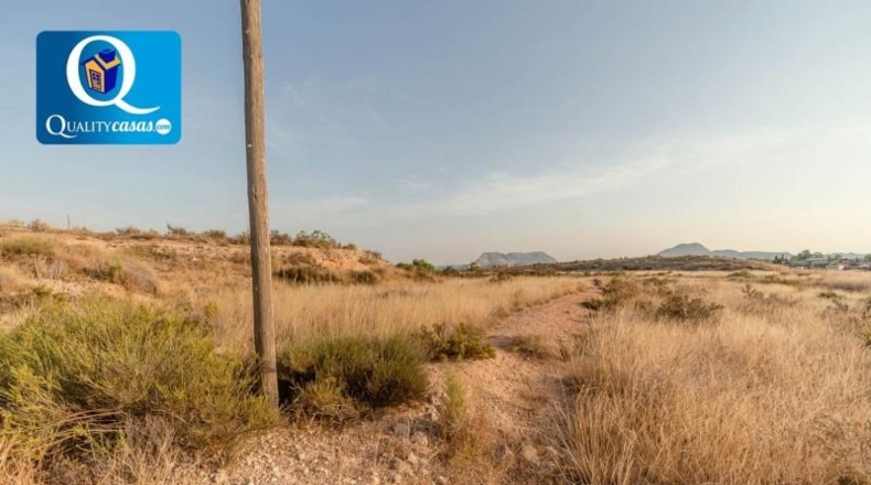 Alicante - Bañeres - 10000m2