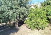 Casa de campo con terreno en venta en la España, Murcia, ref: TR353153 foto