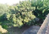Casa de campo con terreno en venta en la España, Murcia, ref: TR353153 foto