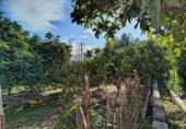 Casa de campo con terreno en venta en la España, Murcia, ref: TR353153 foto
