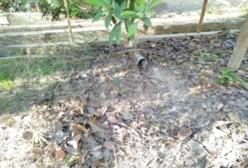 Foto 13