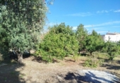 Casa de campo con terreno en venta en la España, Murcia, ref: TR353153 foto