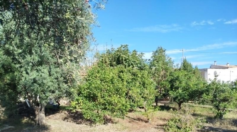 Murcia - Murcia - 420m2