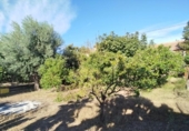 Casa de campo con terreno en venta en la España, Murcia, ref: TR353153 foto