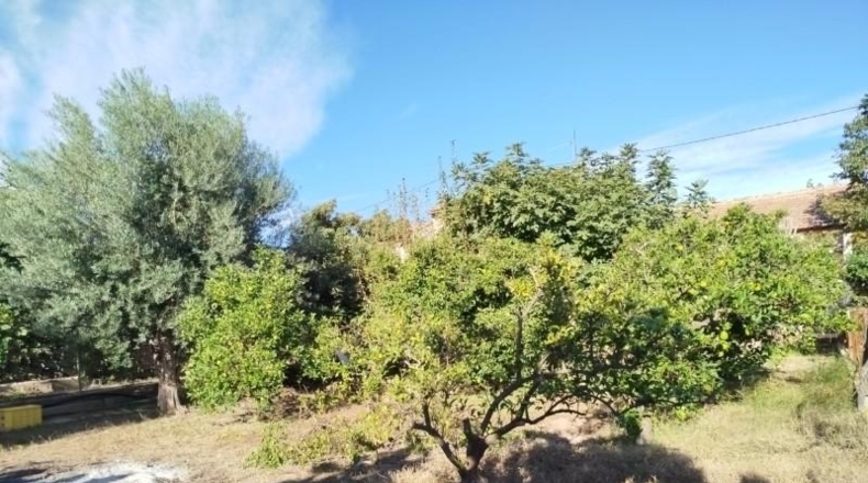 Murcia - Murcia - 420m2