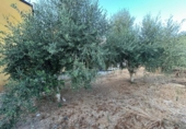 Casa de camp amb terreny en venda a la España, Arganza, ref.: TR344816 foto