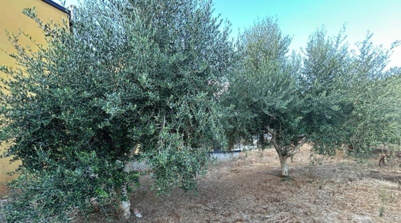 León - Arganza - 500m2