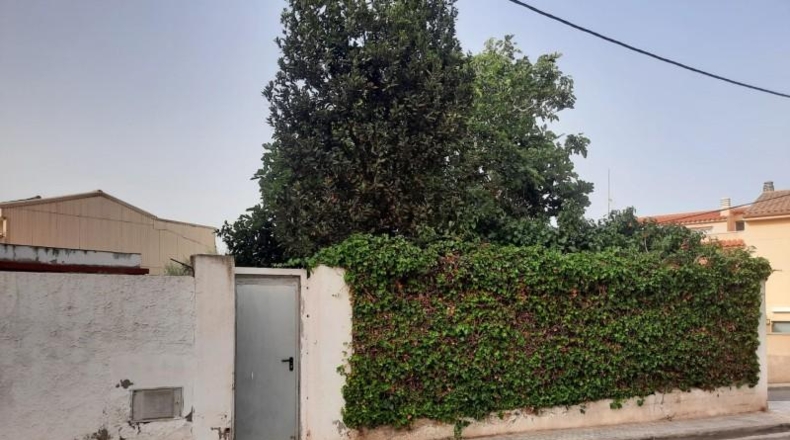 Barcelona - Vilanova i la Geltrú - 280m2