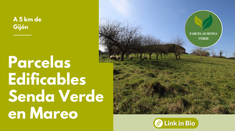 Asturias - Gijón - 1504m2