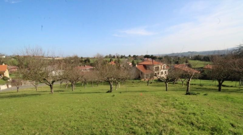Asturias - Gijón - 1504m2
