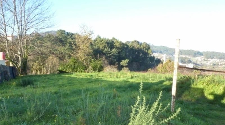 Pontevedra - Vigo - 650m2