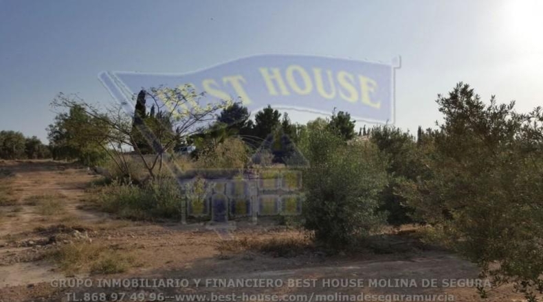 Murcia - Las Torres de Cotillas - 10000m2