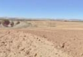 Land suitable for development for sale on España, Paracuellos de Jarama, ref: TR114797 photo