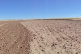 Paracuellos de Jarama 15000&nbsp;m² 
