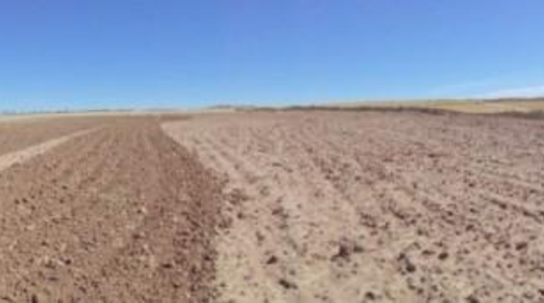Comunidad de Madrid - Paracuellos de Jarama - 15000m2
