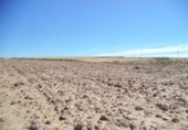 Land suitable for development for sale on España, Paracuellos de Jarama, ref: TR114797 photo