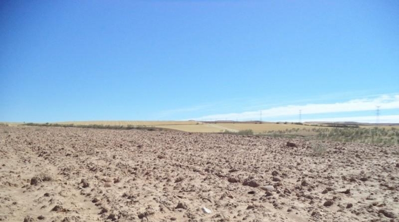Comunidad de Madrid - Paracuellos de Jarama - 15000m2