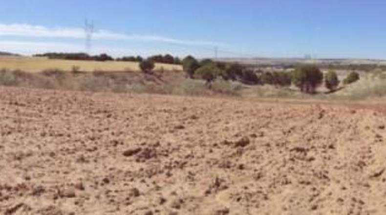 Comunidad de Madrid - Paracuellos de Jarama - 15000m2