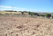 Land suitable for development for sale on España, Paracuellos de Jarama, ref: TR114797 photo